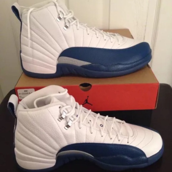 mens jordan retro 12 shoes